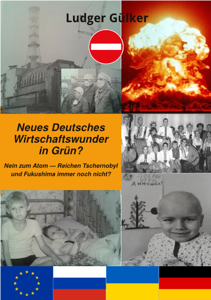 Cover von „Neues Wirtschaftswunder in Grün?“